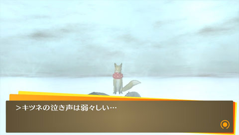 fox.jpg 480272 14K